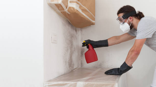 Professional Bathroom Mold Removal technician working in Ephrata, WA