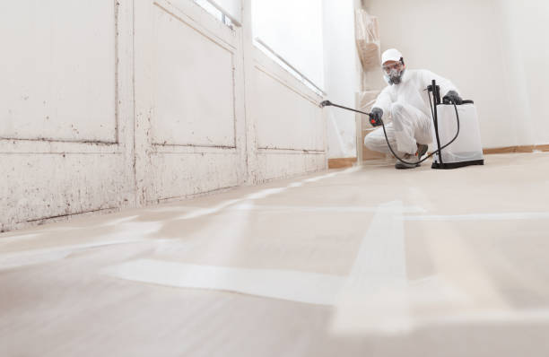 24/7 Emergency Bathroom Mold Removal experts in Ephrata, WA