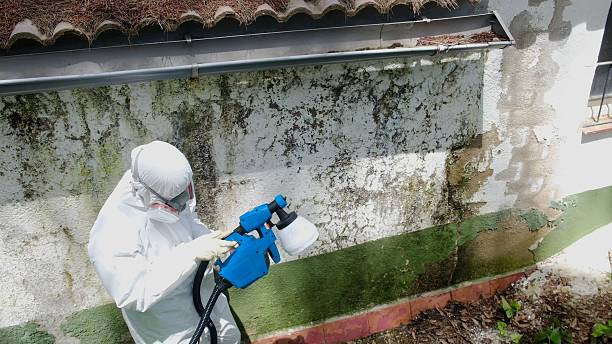 Top rated local Bathroom Mold Removal specialists in Ephrata, WA